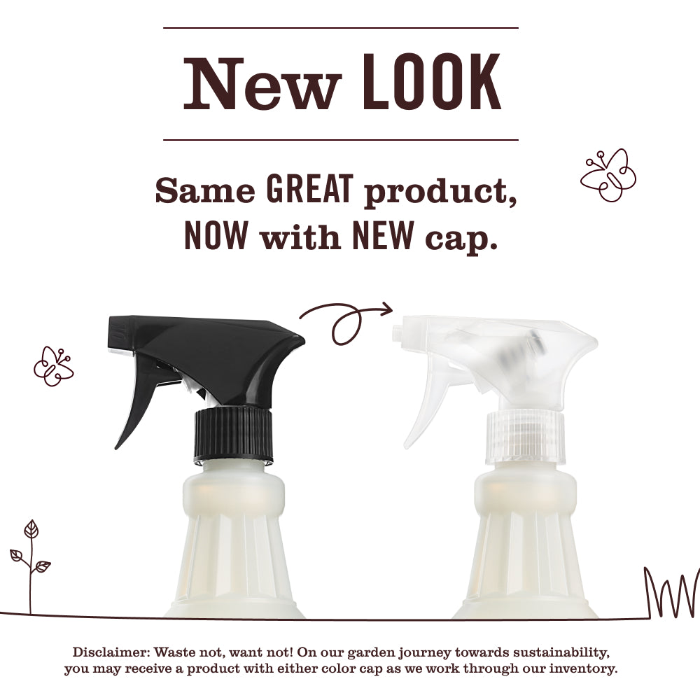 Rain Water Multi-Surface Everyday Cleaner - Image 3